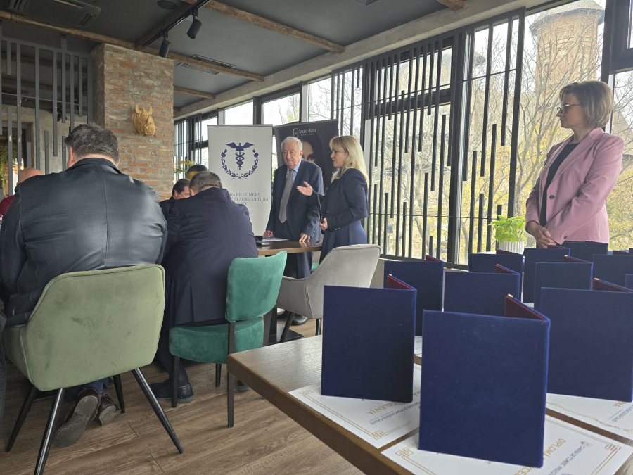 Arcada şi Arabesque, cele mai performante firme gălățene. Topul Camerei de Comerț