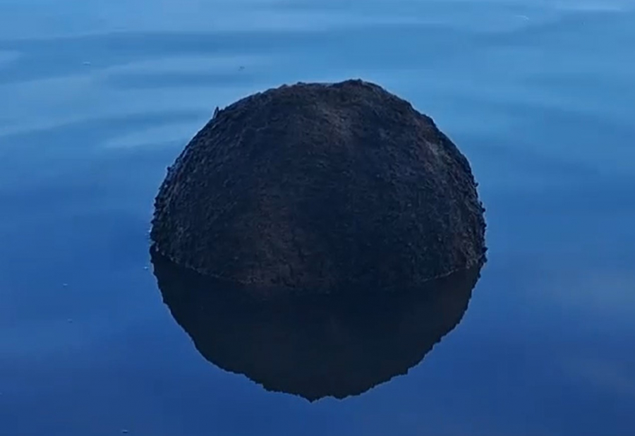 Mină marină pe Brațul Chilia (VIDEO)
