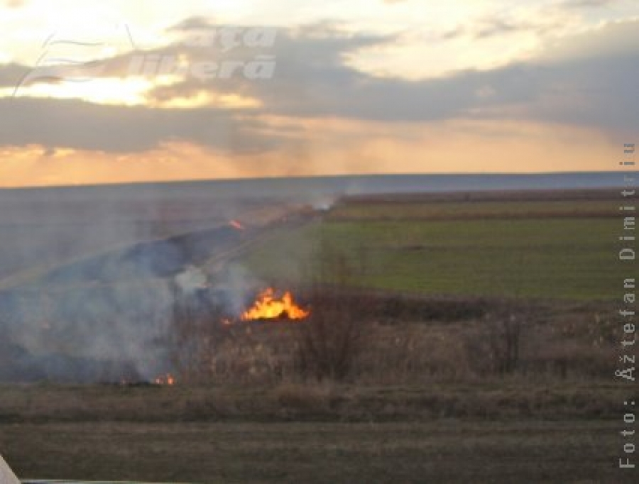 „Cultivatorii” ard câmpurile Prutului