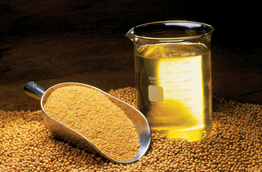 De ce avem nevoie de vitamina K, nutrient găsit din plin în uleiul de soia