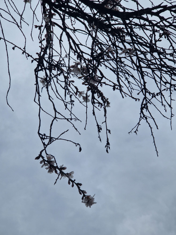 Vreme schimbătoare şi vânt puternic