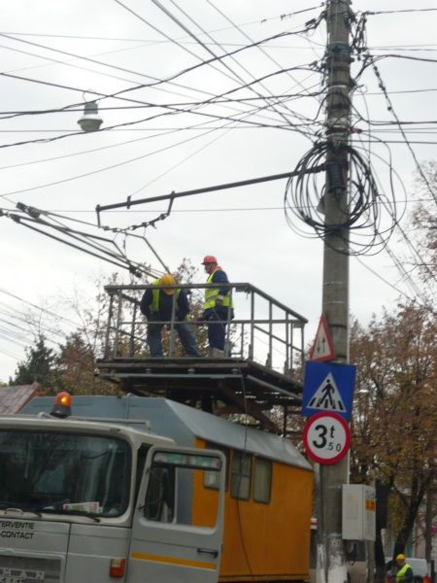 A mai căzut un tei bătrân/ Circulaţia troleibuzelor, întreruptă pe strada Domnească