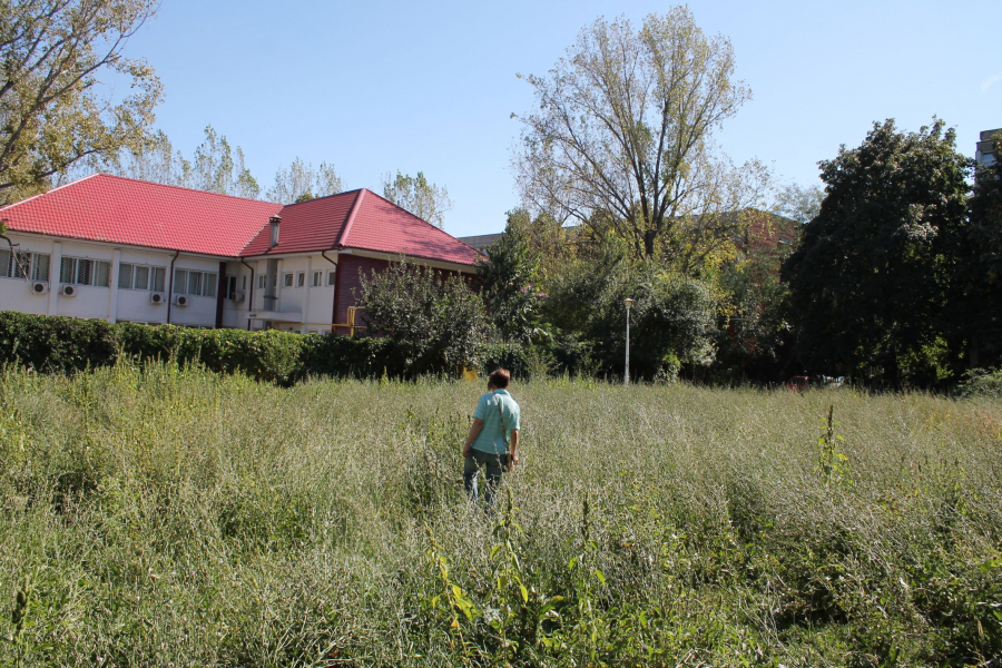 Soluţia Primăriei Galați pentru parcuri și scuaruri fără buruieni