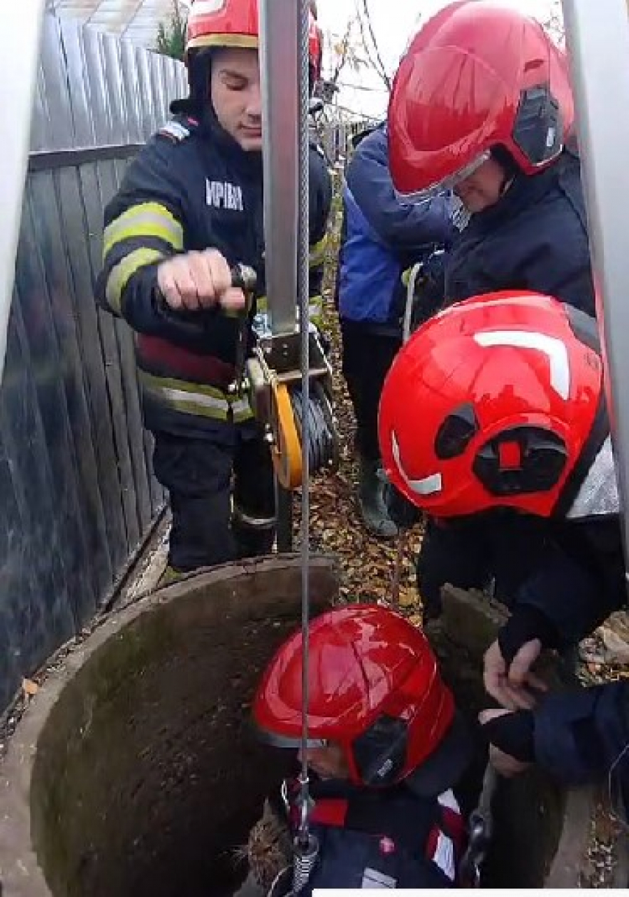 Pisică scoasă dintr-o fântână adâncă de 25 de metri (VIDEO)