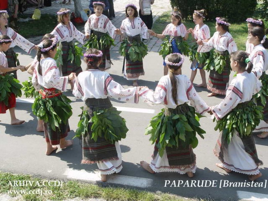 Sânzienele din Pădurea Gârboavele