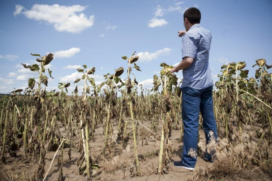 Bilanţul calamităţilor din agricultura Galaţiului