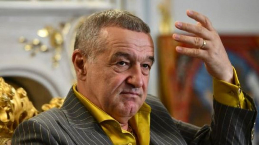 Șoc și groază în Pipera - Hoții i-au furat oile lui Gigi Becali!