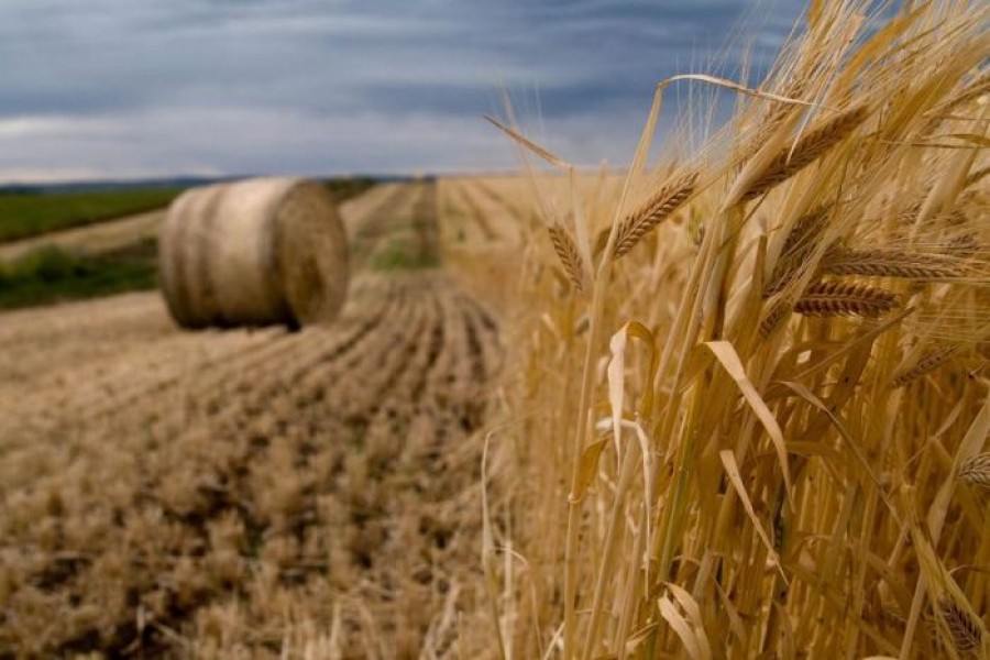 Cereţi subvenţiile pentru agricultură eco! 