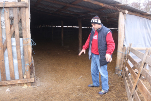 Sorin Pascal, fermierul care nu a primit despăgubiri pentru 11 porci