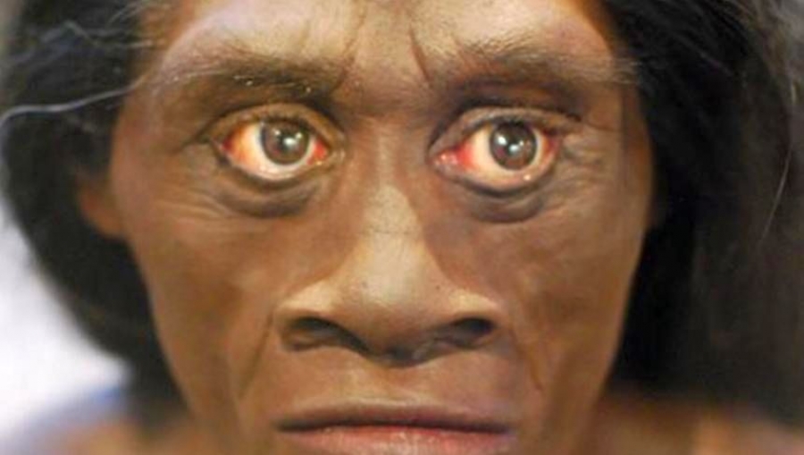 DISPARIȚIA HOBBIȚILOR. Dezvăluiri despre misterioasa specie umană HOMO FLORESIENSIS