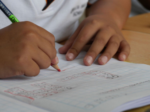 Grad de alfabetizare scăzut pentru elevii români de 6-14 ani. Fetele, performanțe mai bune decât băieții