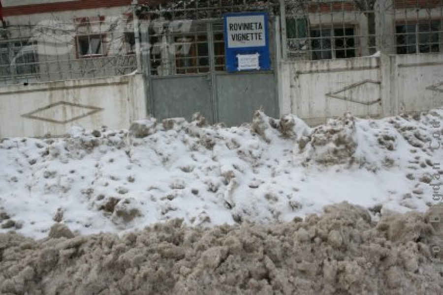 Aveţi rovinieta?  Păcat…  