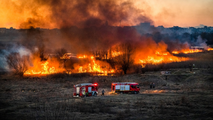 Incendiu de proporții în Delta Dunării