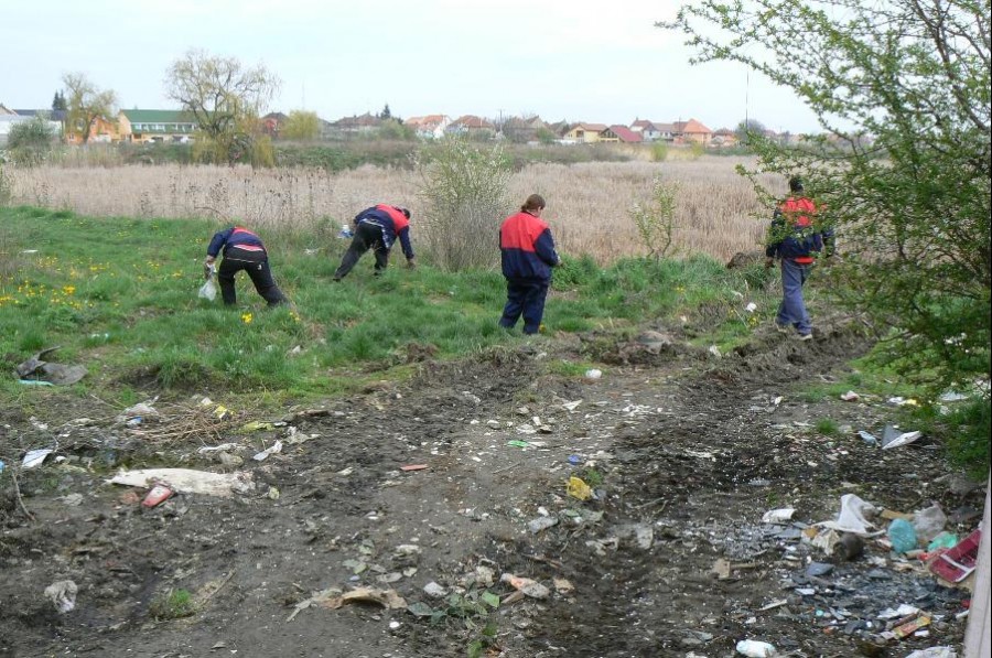 Primăria trece la represalii: Cine nu plăteşte amenzile munceşte în folosul comunităţii!