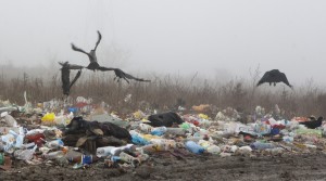 FOTO/ Galaţi, oraşul gropilor de gunoi. Zeci de terenuri virane au devenit depozite de deşeuri
