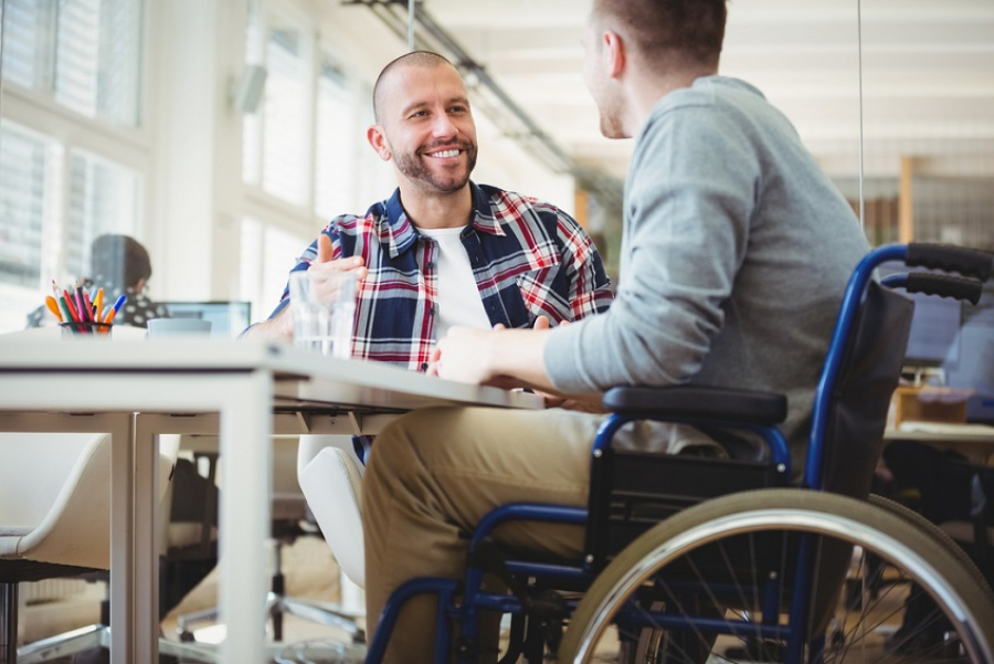 Lege a pensiilor pentru persoanele cu dizabilități