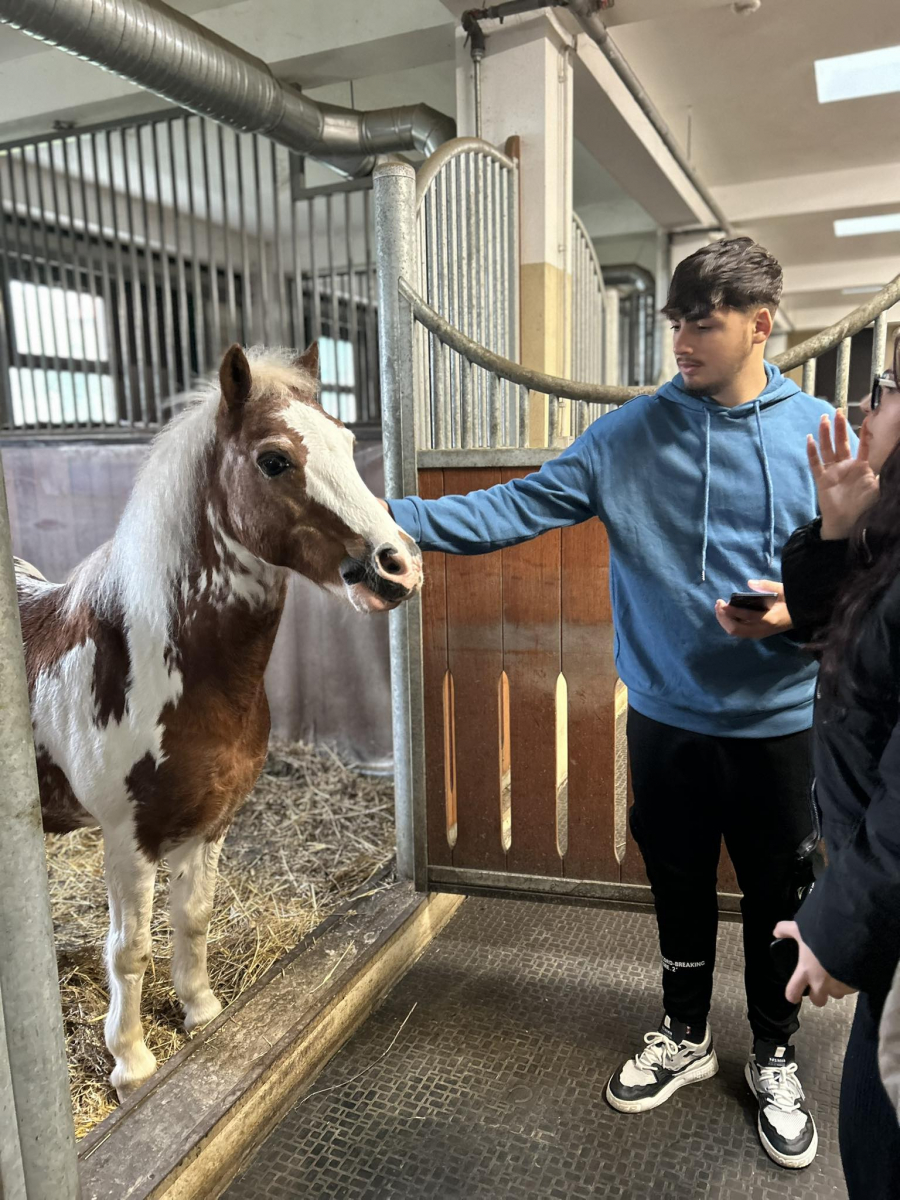 Elevii gălățeni vizitează centre de cercetare agricolă avansată