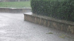 Ploile vor continua în următoarele zile. Coduri de inundaţii pe mai multe râuri din ţară