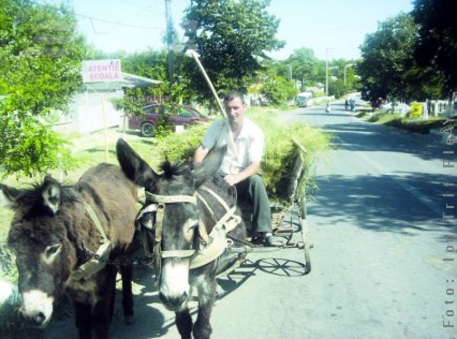 Primăria Oancea, în război cu Drumurile Naţionale Iaşi