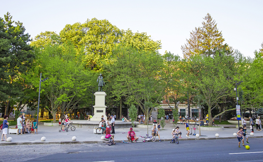 Restricții de trafic pe strada Domnească