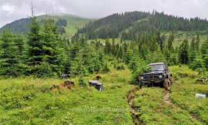 Țigări și o mașină, abandonate în Munții Maramureșului