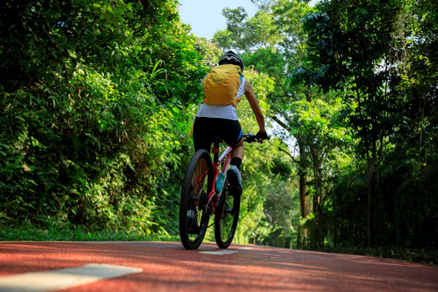 Terenuri preluate de Consiliul Județean pentru realizarea pistei de biciclete