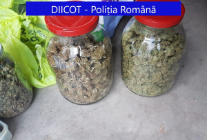Traficanți arestați și droguri confiscate de anchetatori. PERCHEZIȚII în Galați și Cluj