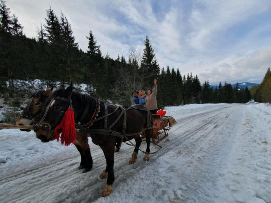 Frânturi de Bucovina, din sania cu zurgălăi (FOTO și VIDEO)