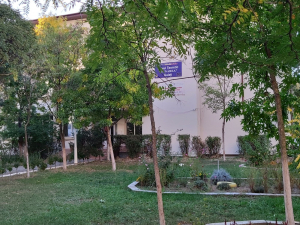 Gângănii urât mirositoare într-un liceu aflat în renovare. Elevii de la Dunărea sunt ”colegi” cu ploșnițele
