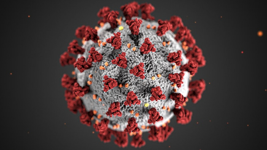 1.333 de cazuri noi și 42 de decese. Încă zece gălățeni au fost confirmați cu noul coronavirus