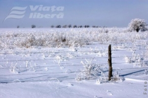 Dezastru în agricultură