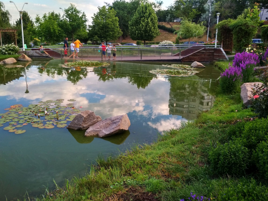 Unde-s crapii japonezi din Parcul „Viva”? Iazul trebuie curățat (FOTO şi VIDEO)