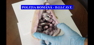 Drogurile erau venite din Spania şi urmau să ajungă la consumatorii din Galaţi şi Brăila