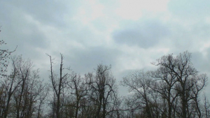 Vreme rece şi cer predominant noros