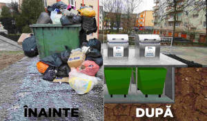 Obligativitate în instituţiile publice