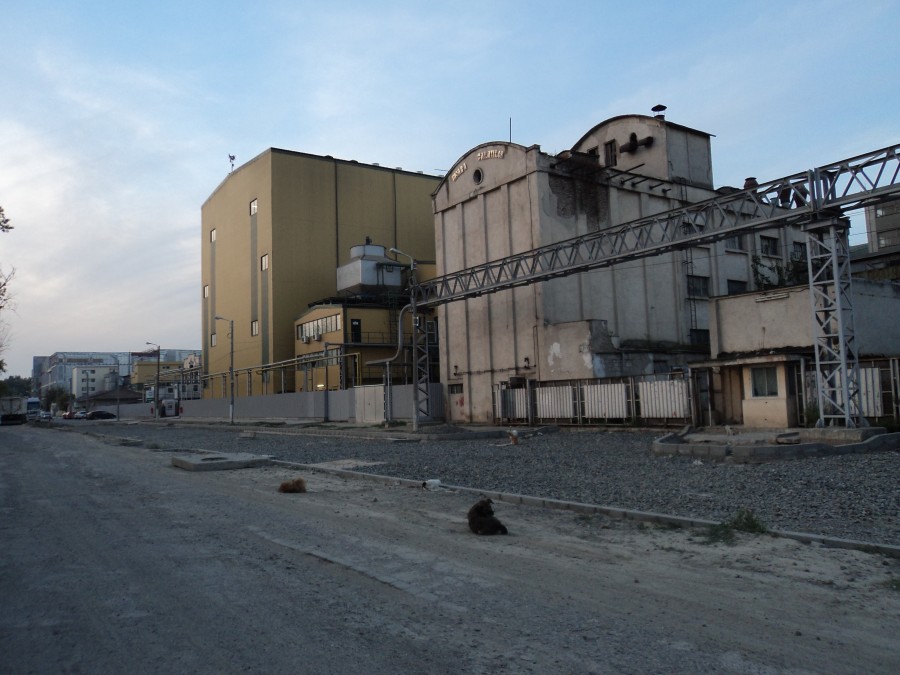 Strada Ana Ipătescu şi drumul spre Parcul Industrial, lucrări finalizate... la anul şi la mulţi ani!