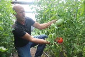 &quot;Gălăţeanul&quot; care a dat şoferia pe legumele de Vânători (FOTO)