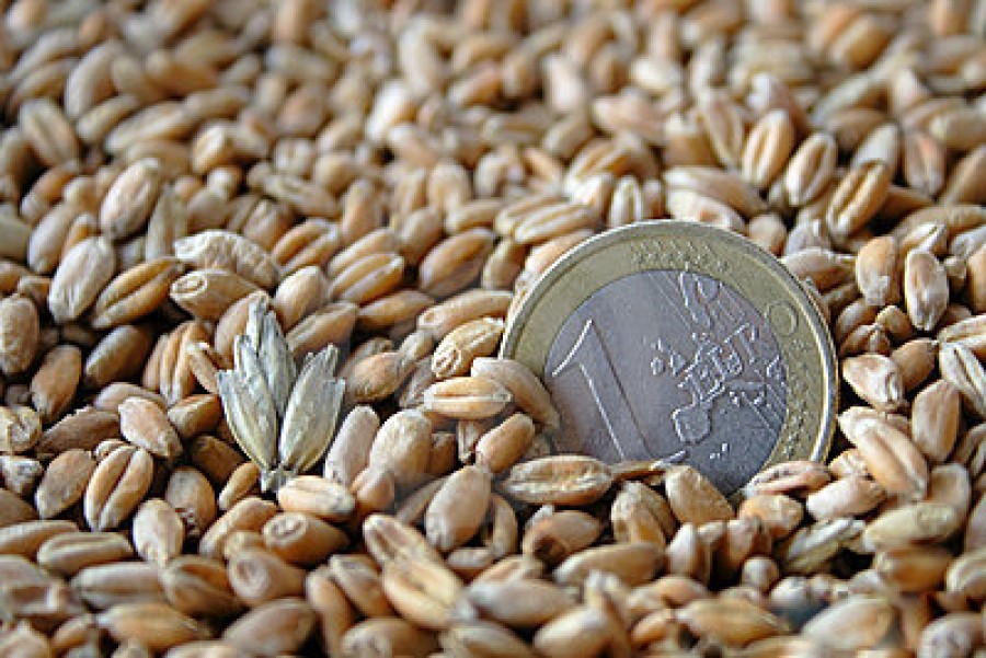 Câţi bani primesc agricultorii în acest an, de la stat şi de la UE