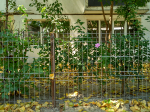 Garduri de fier pentru spaţiile verzi