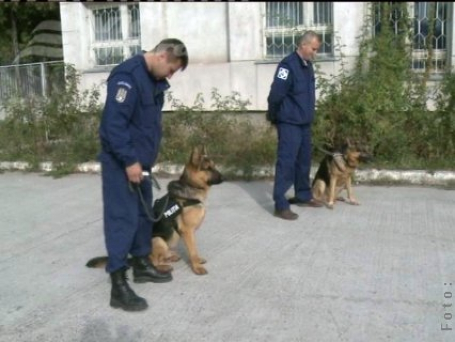 Grădiniţa „Dumbrava minunată” „arestează” Secţia 4