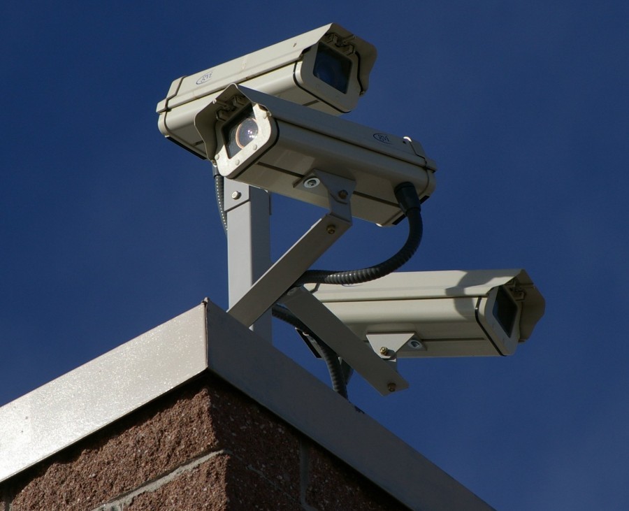 În trei luni, Grădina Botanică va avea sistem de supraveghere video