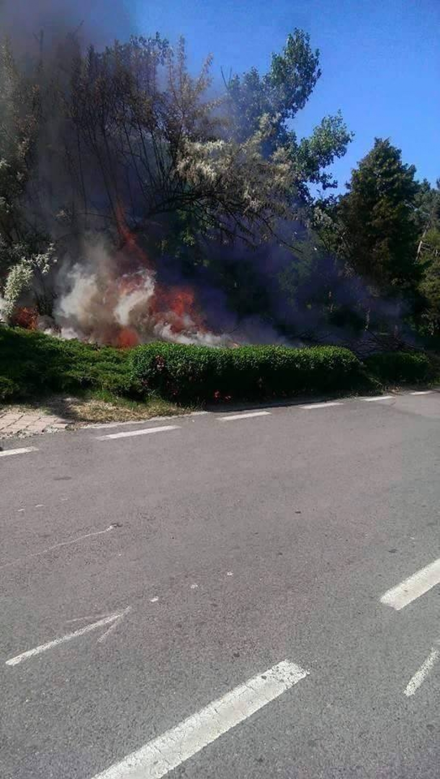 Incendiu pe Faleza Dunării din cauza unui muc de ţigară