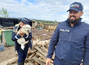 Poliţiştii, alături de oameni și animale în zonele afectate de inundații