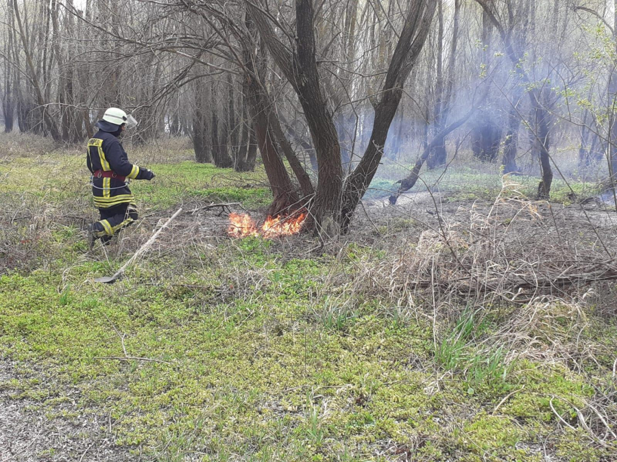 Incendiu în lunca Prutului