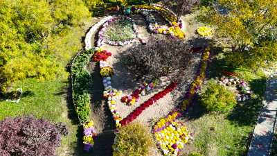 Invitaţie la Grădina Botanică. Expoziţia ”Regina Toamnei, Crizantema”, un spectacol plin de eleganţă și culoare