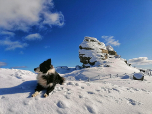 Risc mare de avalanşe în Făgăraş și Bucegi