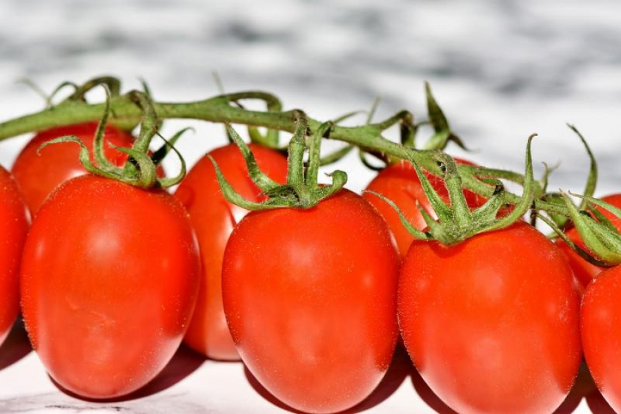 Unde nu poate interveni Ministerul Agriculturii