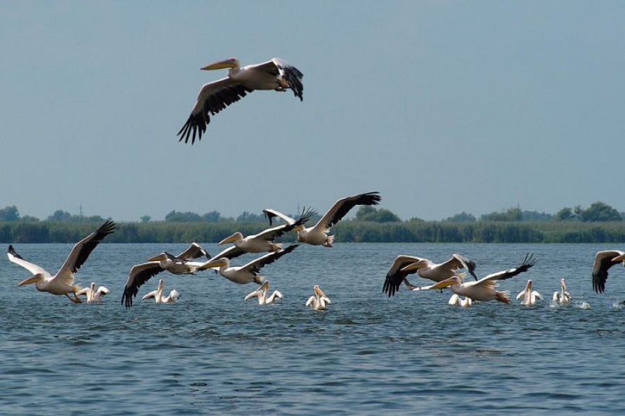 Delta şi staţiunile balneare au cele mai mari creşteri ale numărului de turişti străini