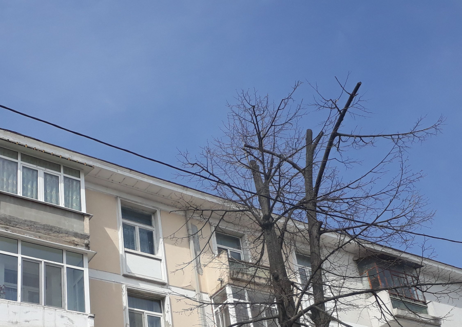 PROGNOZA METEO | Cum va fi vremea, vineri, la Galați