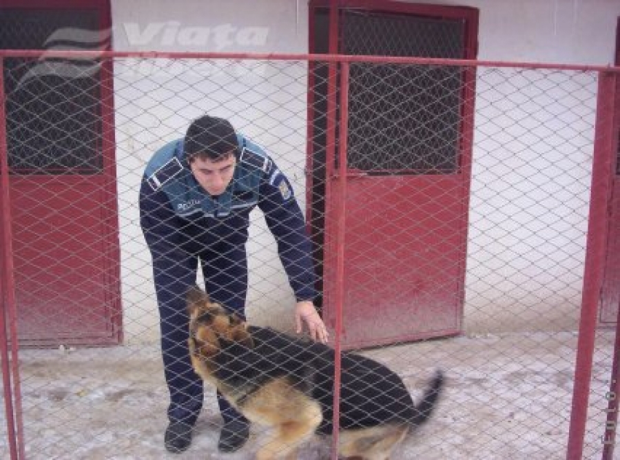 Un câine cu perspective, la Poliţia Rădeşti 